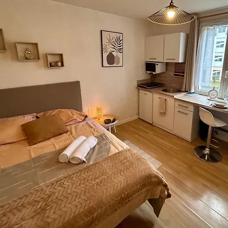 公寓 Le Cosy De Bellevue *